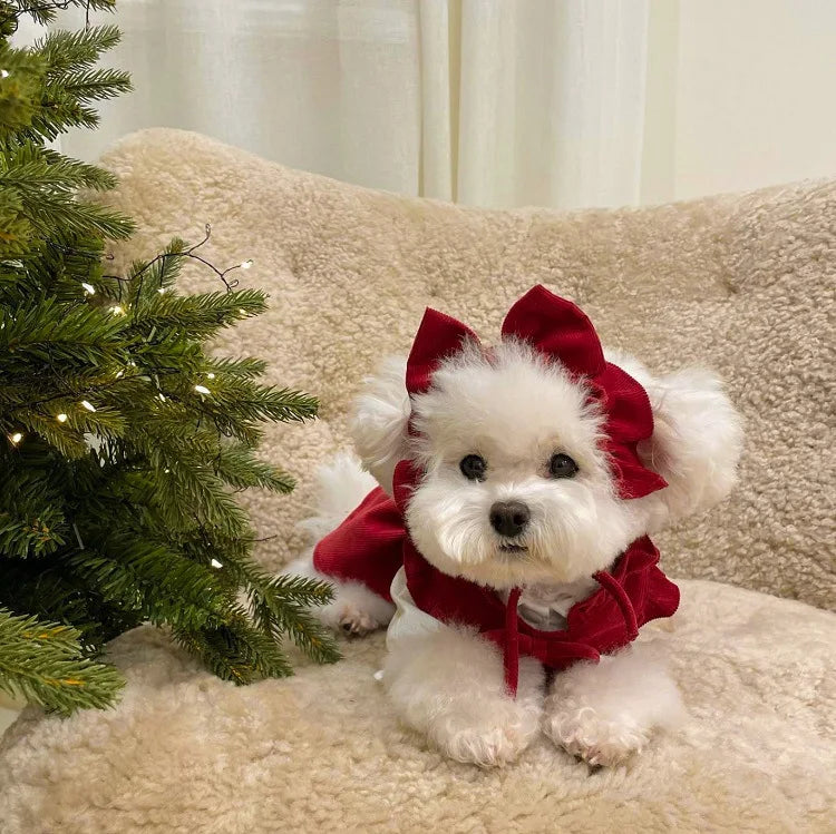 PrincessPaws Bow Dress Set - Corduroy Christmas Princess Costume for Teddy & Small Dogs