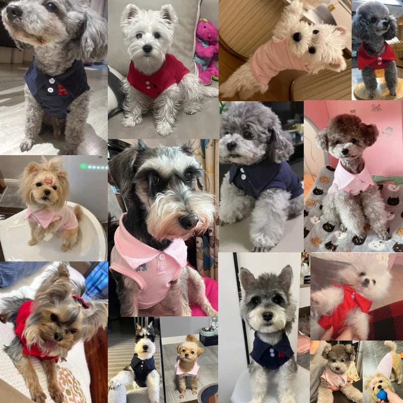 Summer Polo Shirt for Dogs – Stylish Cooling Vest for Small & Medium Breeds