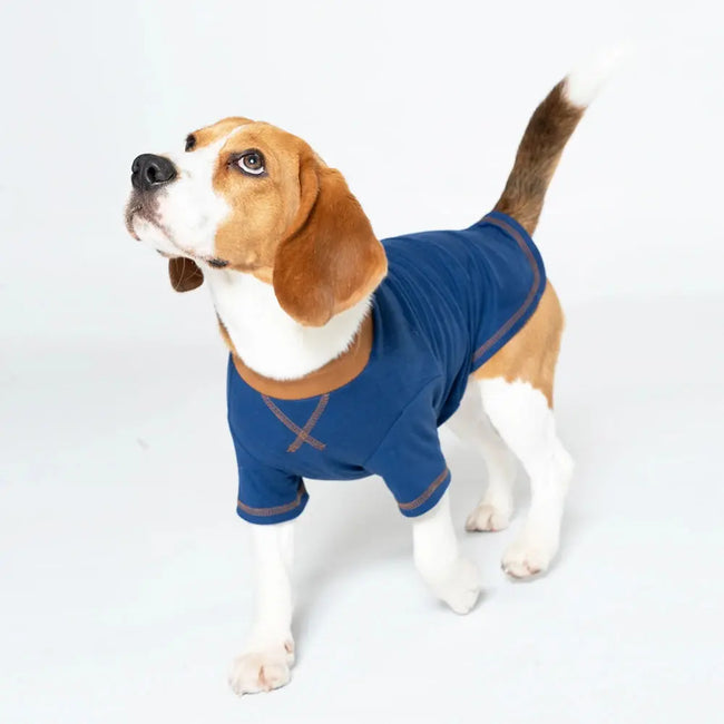 Dog Shirts Summer Puppy Spring Clothes Pet Pullover Sweatshirt Soft Long Sleeve Dog Clothes for Small and Medium Dogs T-shirts Hover Image