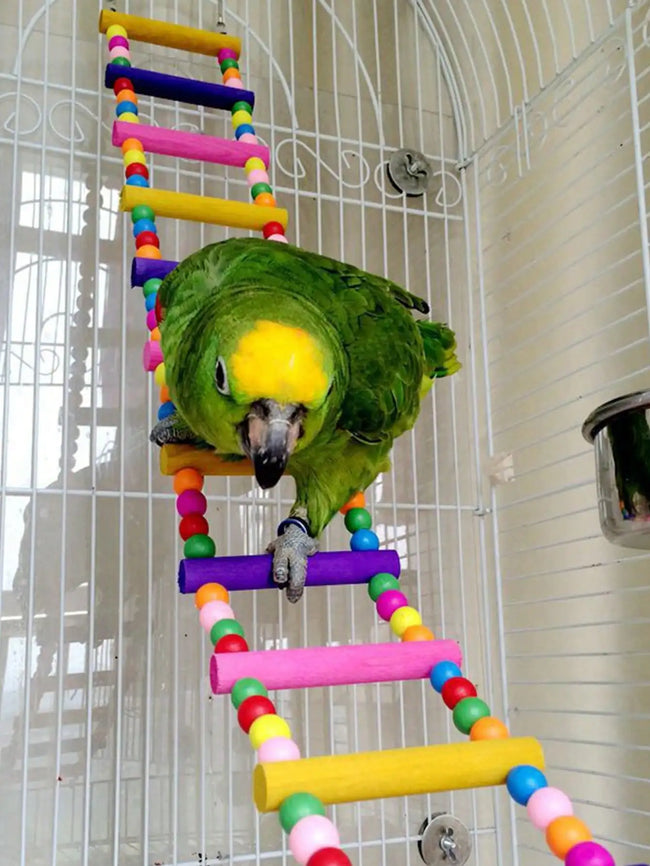 Wooden Bird Ladder & Swing Hover Image