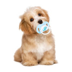 Calming Silicone Pacifier - Bite-Resistant Chew Toy for Puppies & Dogs
