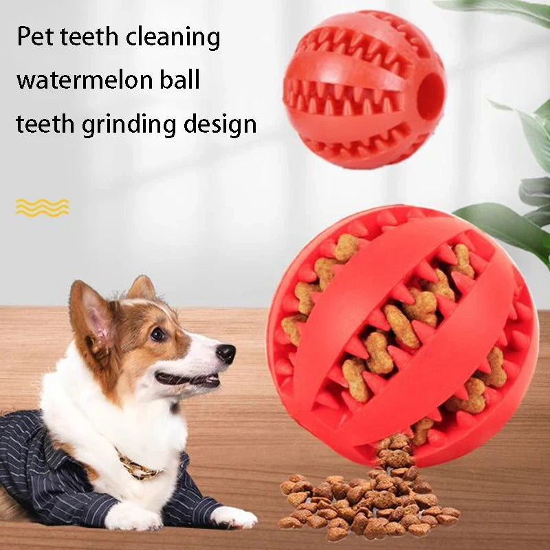 Natural Rubber Chew Ball for Small Dogs - Tough Tooth-Cleaning Treat Toy