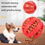 Natural Rubber Chew Ball for Small Dogs - Tough Tooth-Cleaning Treat Toy