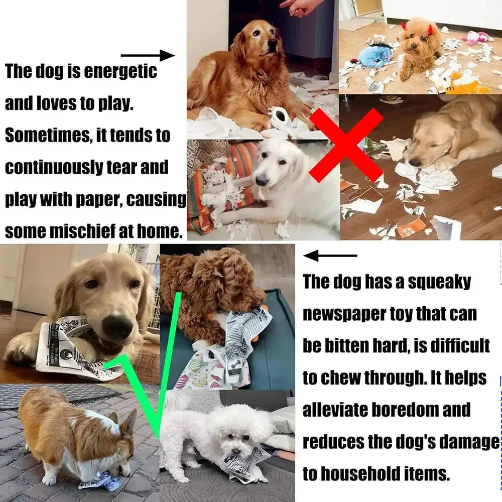Indestructible Squeaky Card Chew Toy for Puppies - K/Q/J Tearproof Dog Toy for Corgi, Teddy & Small Breeds