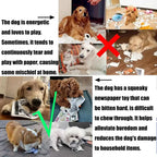 Indestructible Squeaky Card Chew Toy for Puppies - K/Q/J Tearproof Dog Toy for Corgi, Teddy & Small Breeds
