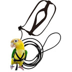Parrot Flight Harness & Leash