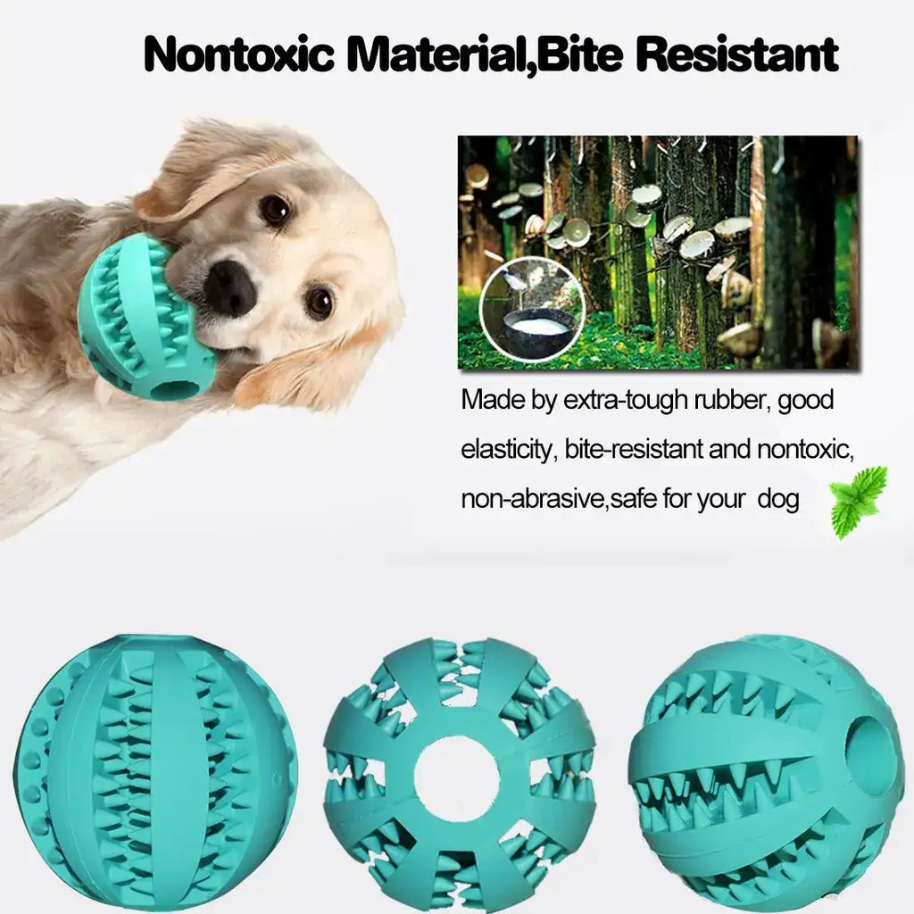 Durable Dental Chew Ball for Dogs – Snack-Dispensing Rubber Toy for Puppies & Large Breeds