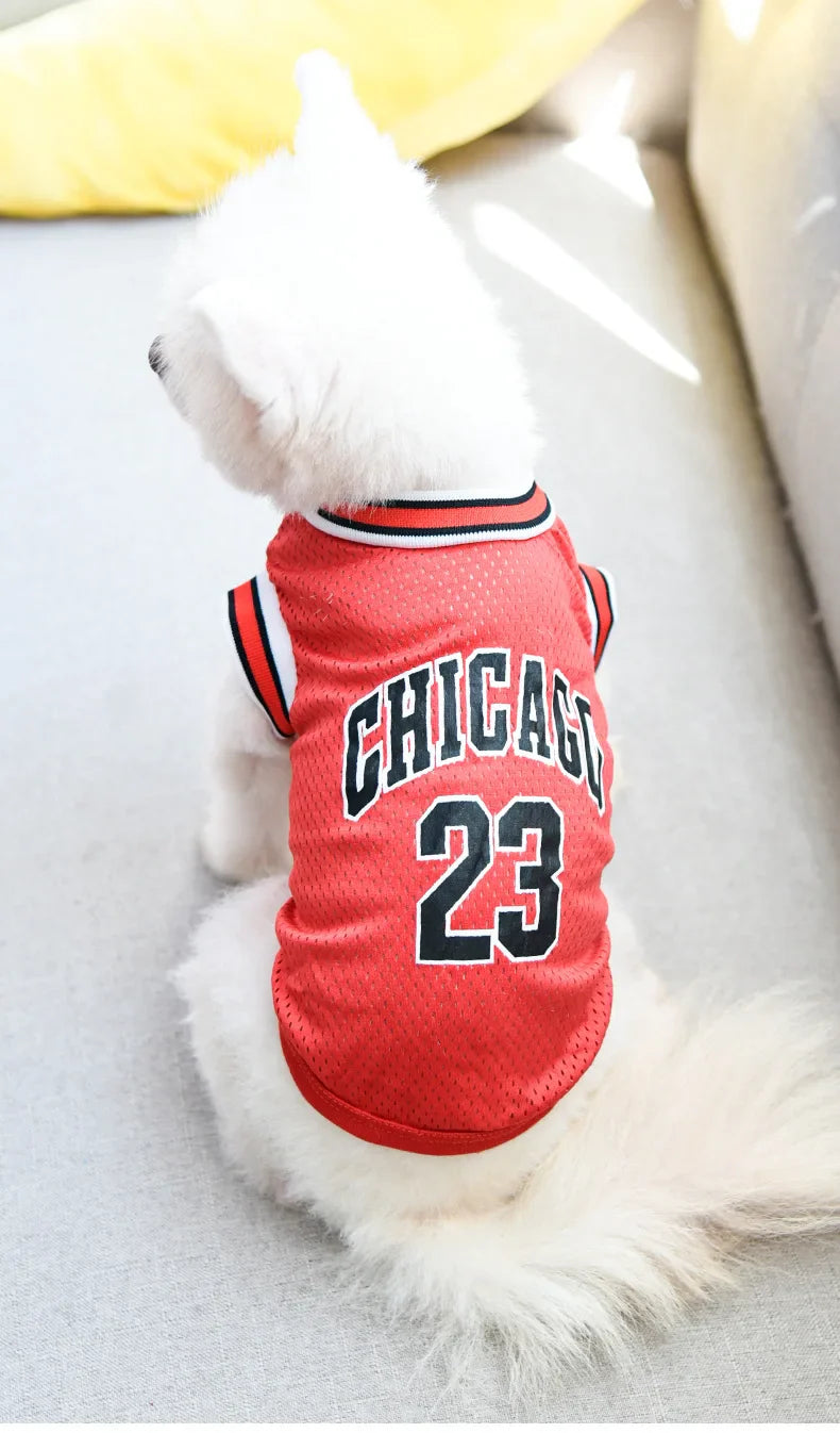 Summer Mesh Dog Jersey - Breathable Sport Shirts for Cooling, Small & Large Breeds (Schnauzer, Teddy, Cats)