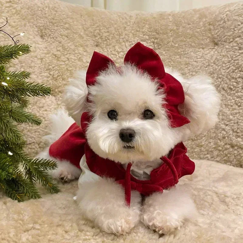 PrincessPaws Bow Dress Set - Corduroy Christmas Princess Costume for Teddy & Small Dogs