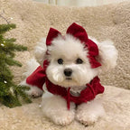 PrincessPaws Bow Dress Set - Corduroy Christmas Princess Costume for Teddy & Small Dogs