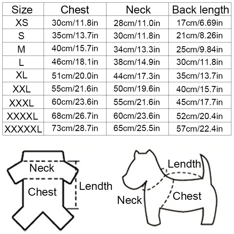 CampusPaws V-Neck Sweater - Preppy Knit Pullover for Small Dogs & Cats