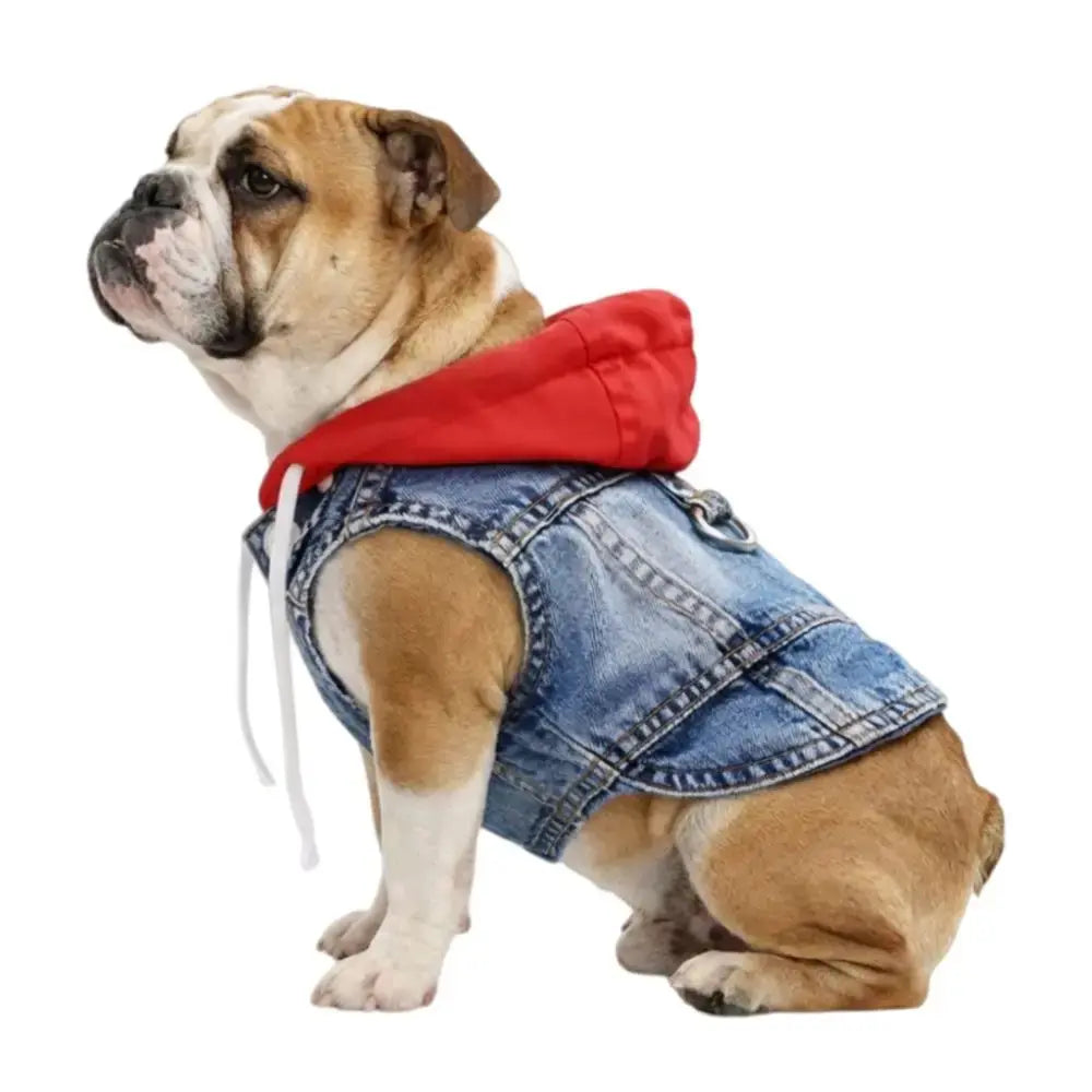 Denim Dog Jean Jacket Vest with D-Ring Cool Spring Dog Hoodies Breathable Lightweight Puppy Harness Coat For Small Medium Dogs