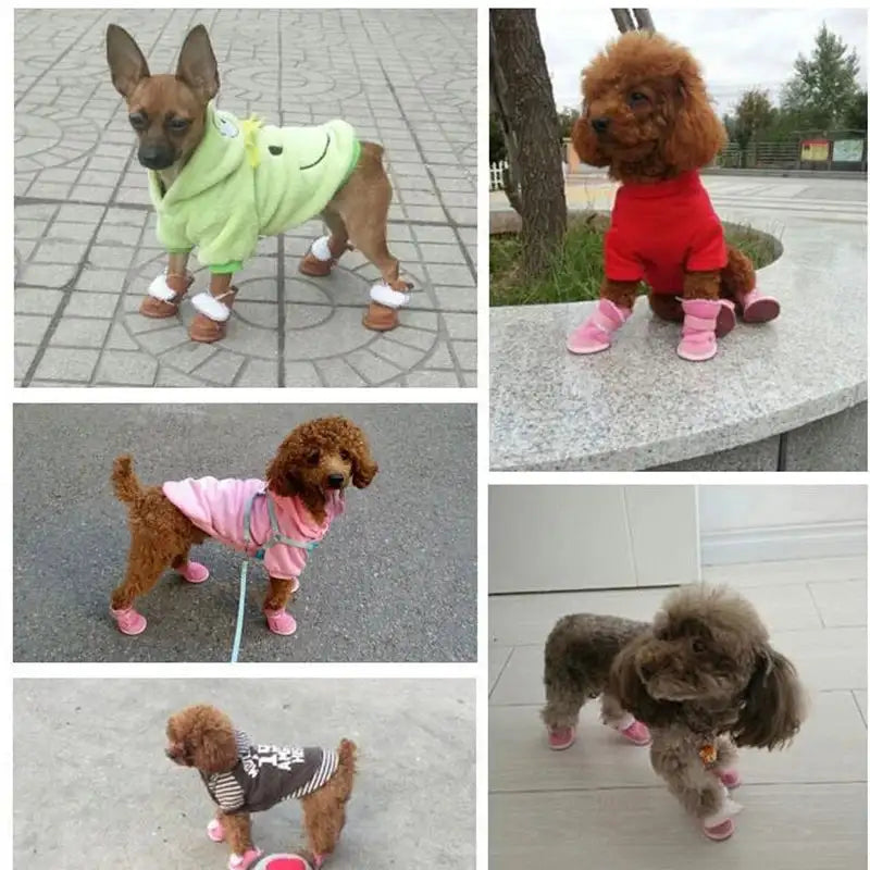 Cozy Winter Dog Shoes: Keep Your Pup's Paws Warm & Stylish! ❄️🐾
