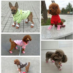 Cozy Winter Dog Shoes: Keep Your Pup's Paws Warm & Stylish! ❄️🐾