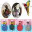 Bird Flight Suit Diaper (Parrots & Parakeets)