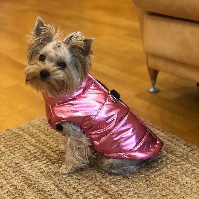 Winter Dog Clothes For Small Medium Dogs Cat Outdoor Waterproof Warm Jacket Puppy Coat Yorkies Chihuahua Pug Outfits Pet Costume Hover Image