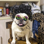 WiggleWhiskers Pet Wigs - Funny Costume Hair Hats for Dogs & Cats (Halloween & Christmas)