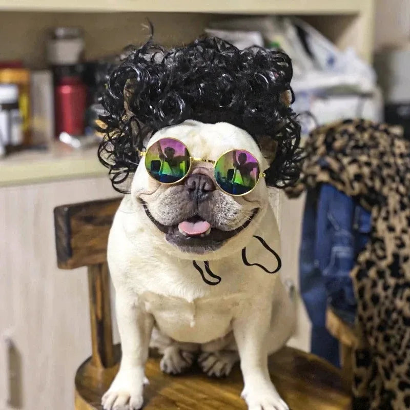 WiggleWhiskers Pet Wigs - Funny Costume Hair Hats for Dogs & Cats (Halloween & Christmas)