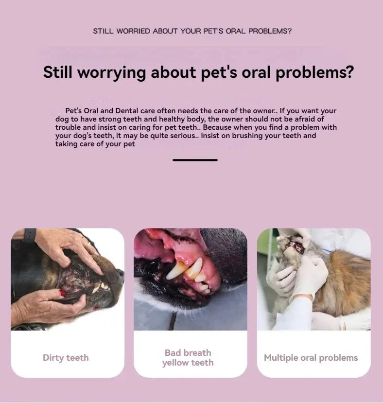 Pet Toothpaste Toothbrush Dog Cat Teeth Cleaning Dog Cat Fingertips Cat Dog Disposable Toothbrush Toothpaste Set