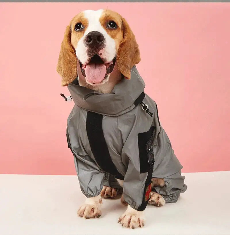 Outdoor Large Dog Raincoat: Stylish Protection for All Weather! ☔🐾