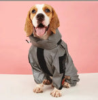 Outdoor Large Dog Raincoat: Stylish Protection for All Weather! ☔🐾