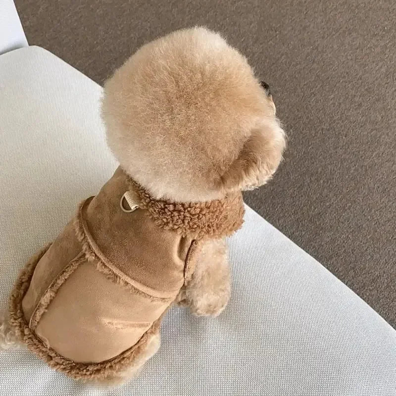 PetLAI Designer Dog Vest – Cute & Soft Autumn/Winter Coat for Small to Medium Dogs