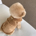 PetLAI Designer Dog Vest – Cute & Soft Autumn/Winter Coat for Small to Medium Dogs