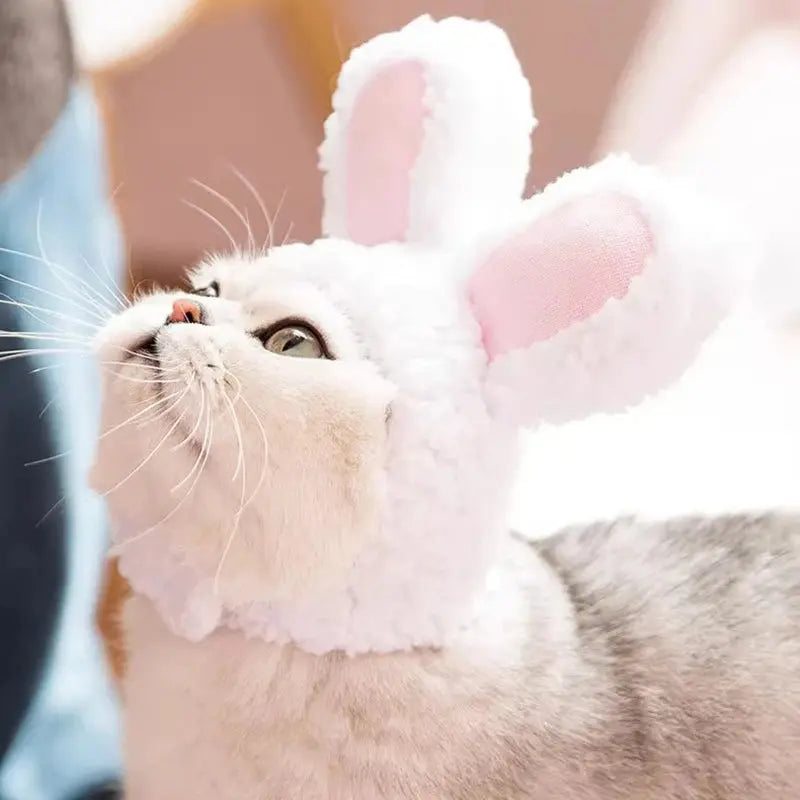 Cat Cosplay Dress Up Pet Hat Lion Mane for Cat Puppy Lion Wig Costume Party Decoration Halloween Christmas GatosPet Supplies
