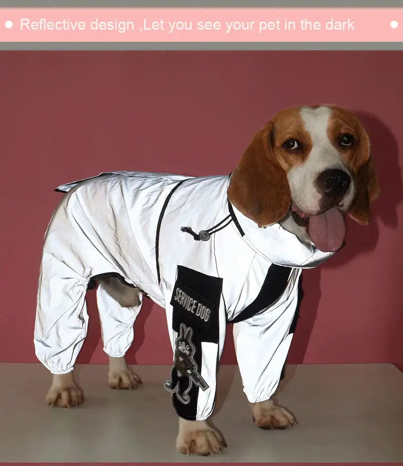 Outdoor Large Dog Raincoat: Stylish Protection for All Weather! ☔🐾