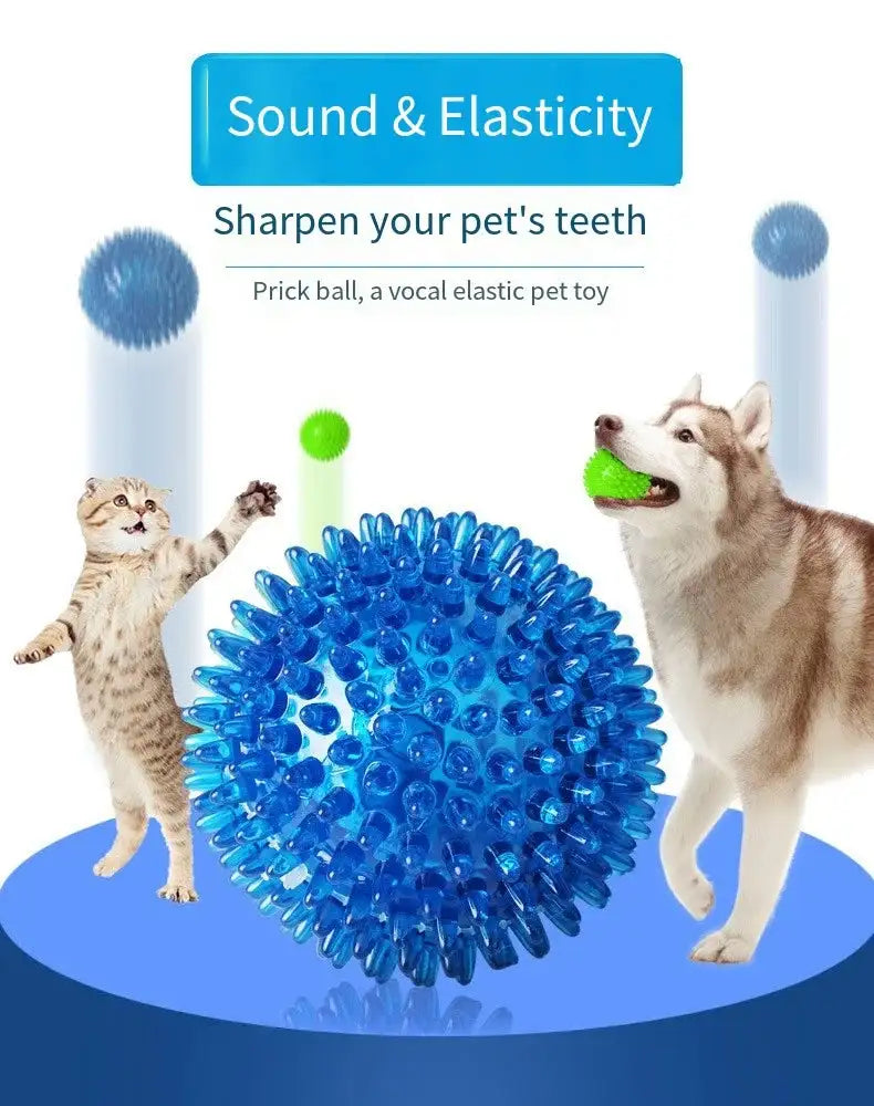 Squeaky Dental Chew Ball - Bouncy TPR Dog Toy for Teeth Cleaning & Play