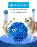 Squeaky Dental Chew Ball - Bouncy TPR Dog Toy for Teeth Cleaning & Play