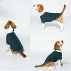 Dog Shirts Summer Puppy Spring Clothes Pet Pullover Sweatshirt Soft Long Sleeve Dog Clothes for Small and Medium Dogs T-shirts