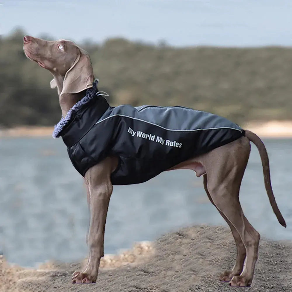 Thickened Big Dog Coat Jacket with Fur Collar Winter Warm Pet Clothes for Medium Large Dogs Greyhound Doberman mascotas Outfits