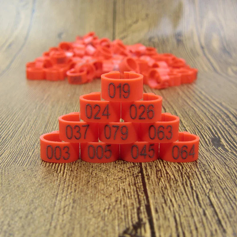 Bird Leg Bands (100pc, 8mm)