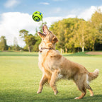 Dog Toy Wobble Wag Giggle Glow Ball – Interactive Dog Attention Toy with Fun Giggle Sounds