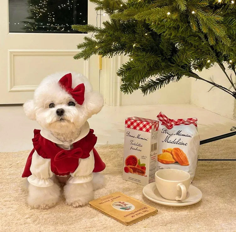 PrincessPaws Bow Dress Set - Corduroy Christmas Princess Costume for Teddy & Small Dogs
