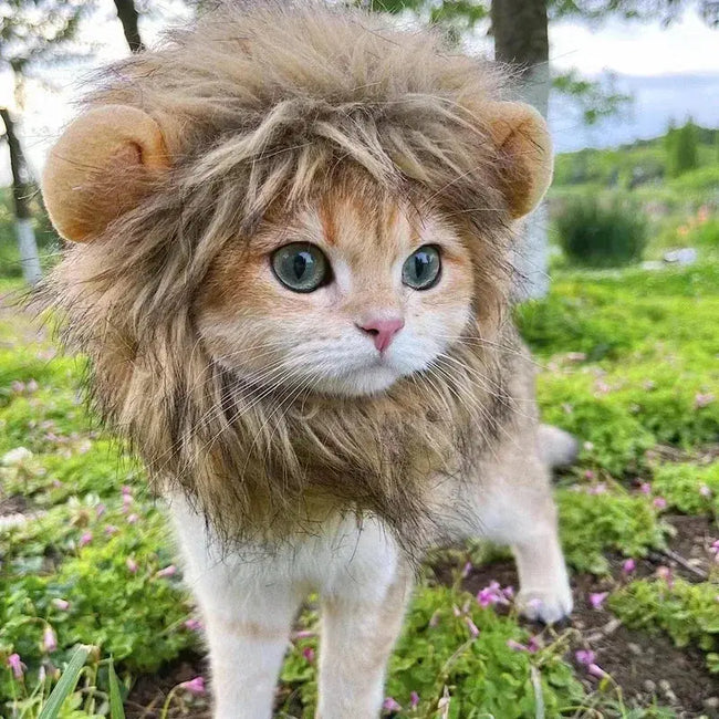 Cat Cosplay Dress Up Pet Hat Lion Mane for Cat Puppy Lion Wig Costume Party Decoration Halloween Christmas GatosPet Supplies Main Image