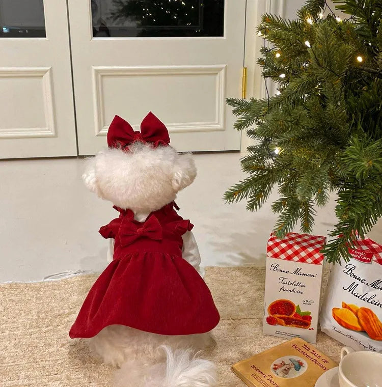 PrincessPaws Bow Dress Set - Corduroy Christmas Princess Costume for Teddy & Small Dogs