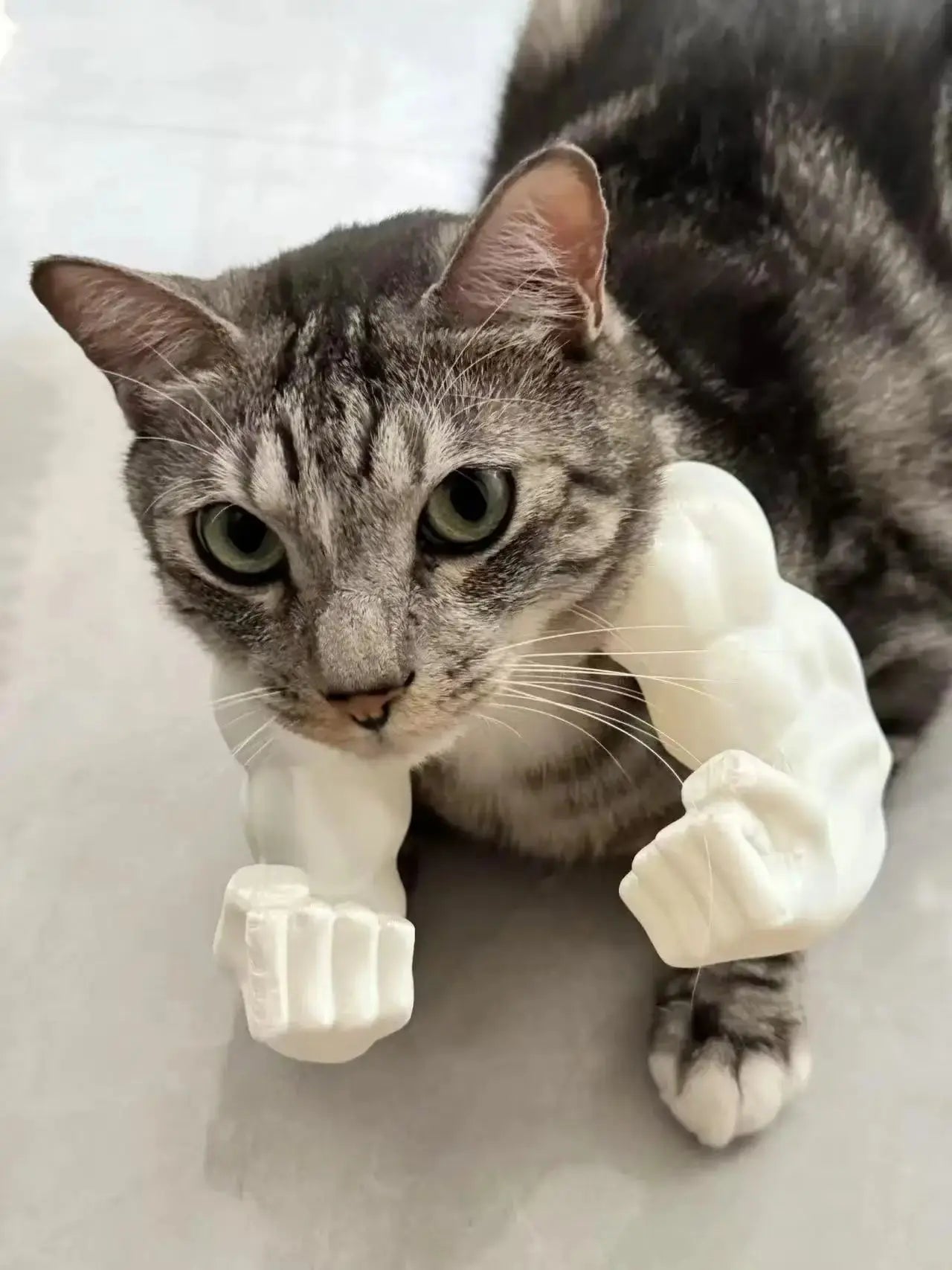 Cat Muscle Arms With Muscle 3D Printed Funny Cat's Neck Giant Arm Creative Arm For Pet Cosplay Halloween Costume Party Accessory