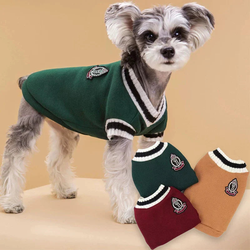 CampusPaws V-Neck Sweater - Preppy Knit Pullover for Small Dogs & Cats