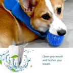 Squeaky Dental Chew Ball - Bouncy TPR Dog Toy for Teeth Cleaning & Play