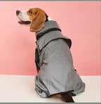 Outdoor Large Dog Raincoat: Stylish Protection for All Weather! ☔🐾