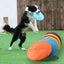 Ultra-Durable Chew-Proof Dog Frisbee – Bite Resistant Flying Disc for Outdoor Training & Play