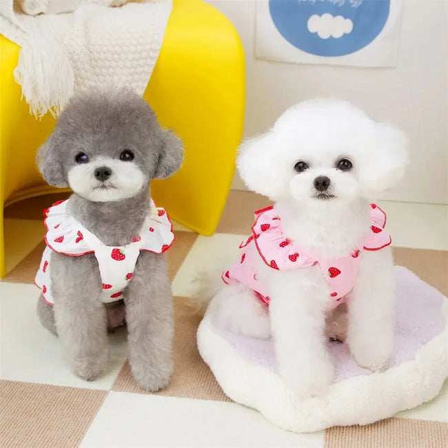 Strawberry Pattern Summer Dress for Dog Pet Clothing Dog Suspender Skirt Cats Puppy Cute Dog Costume Supplies Main Image