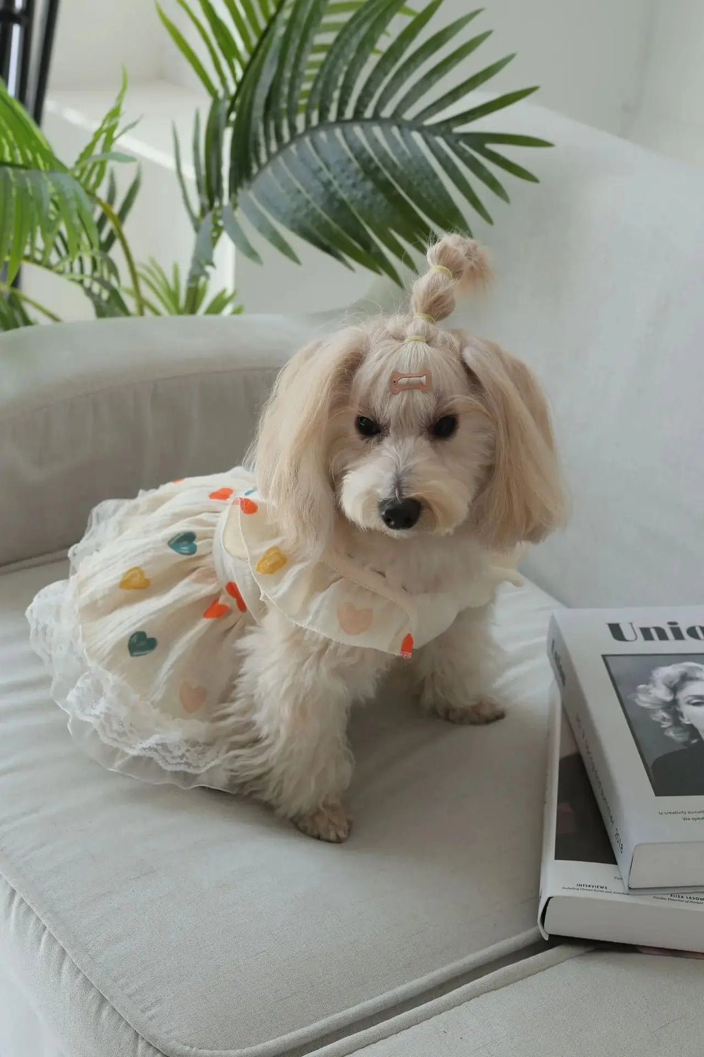 Pet Light Yellow Heart-shaped Little Fly Sleeve Dress Cat and Dog Four Season Vest Puppy Clothes Dog Dresses for Small Dogs