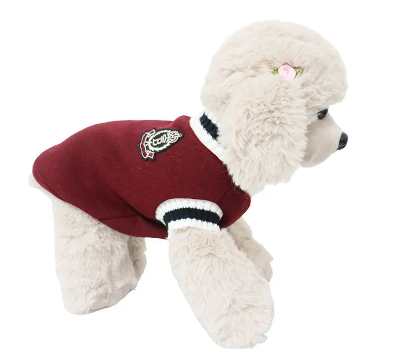 CampusPaws V-Neck Sweater - Preppy Knit Pullover for Small Dogs & Cats