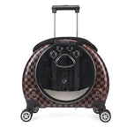 Transparent Space Cat Travel Capsule