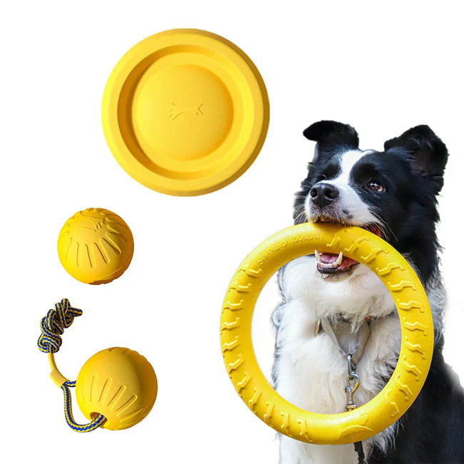 IndestructiChew 4-in-1 Dog Toy Bundle - EVA Chew-Proof Ball, Disc, Tug Rope & Dental Ring for Puppy & Adult Dogs Hover Image