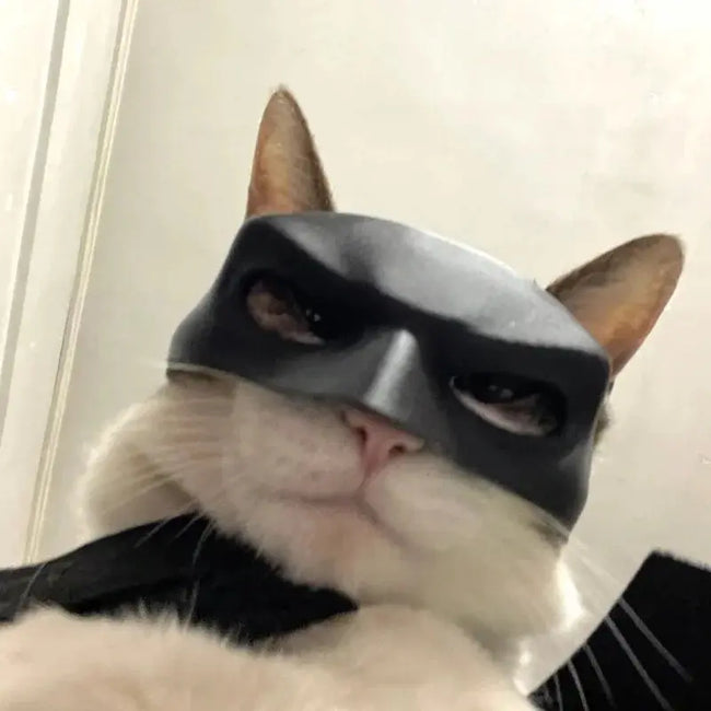New Bat Cat Avenger Mask 3d Printed Cosplay Costume Helmet Toy Halloween Party Headwear Pet Dog Mask Helmet Prop Hover Image