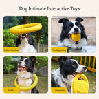 IndestructiChew 4-in-1 Dog Toy Bundle - EVA Chew-Proof Ball, Disc, Tug Rope & Dental Ring for Puppy & Adult Dogs